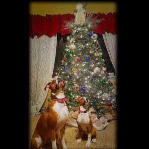 Meet your Posher, Nathan